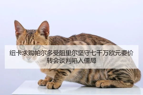 纽卡求购帕尔多受阻里尔坚守七千万欧元要价转会谈判陷入僵局